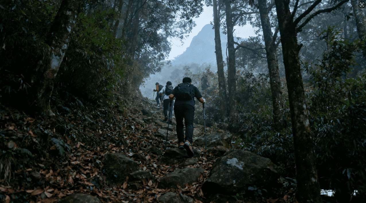 白鲸加速器设置开启步骤解析